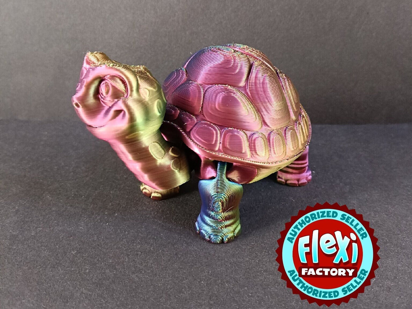 Flexi Tortoise / Flexi Factory authorised seller