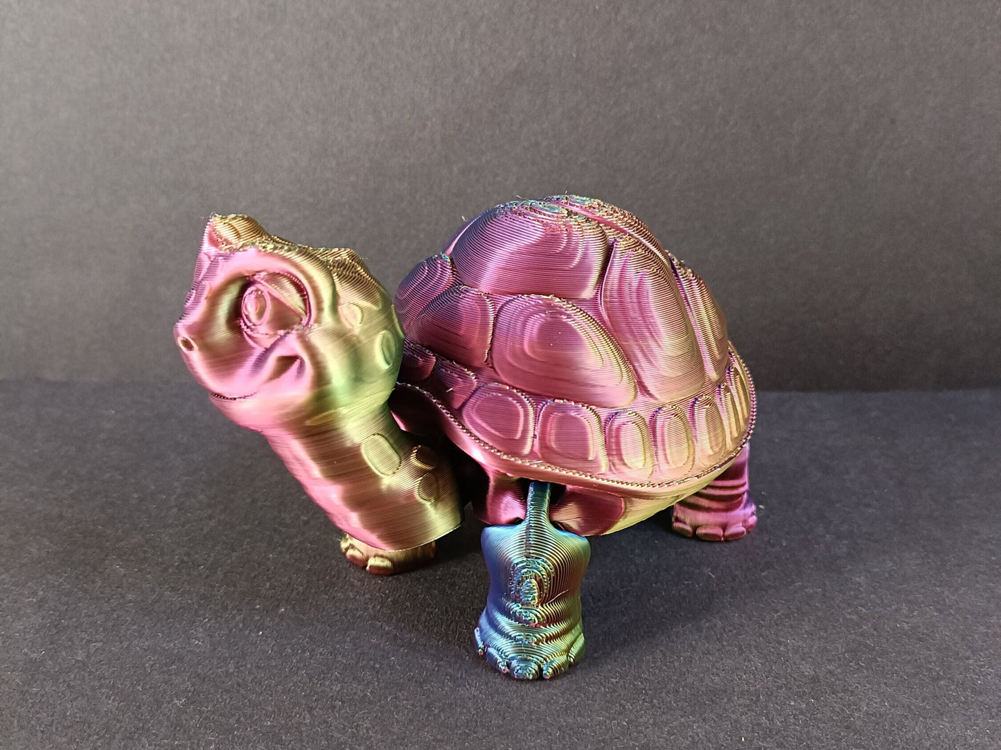 Flexi Tortoise / Flexi Factory authorised seller