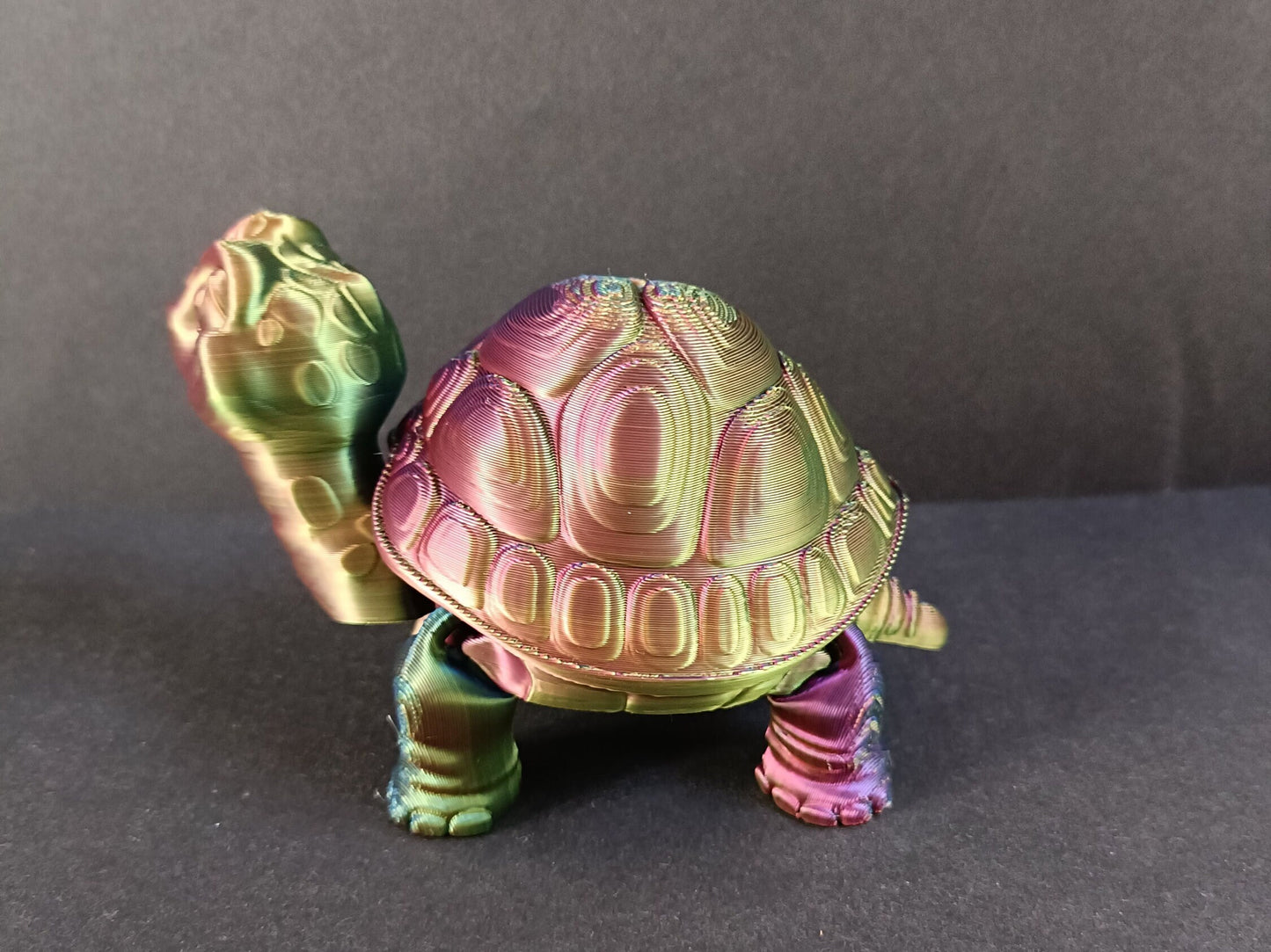 Flexi Tortoise / Flexi Factory authorised seller