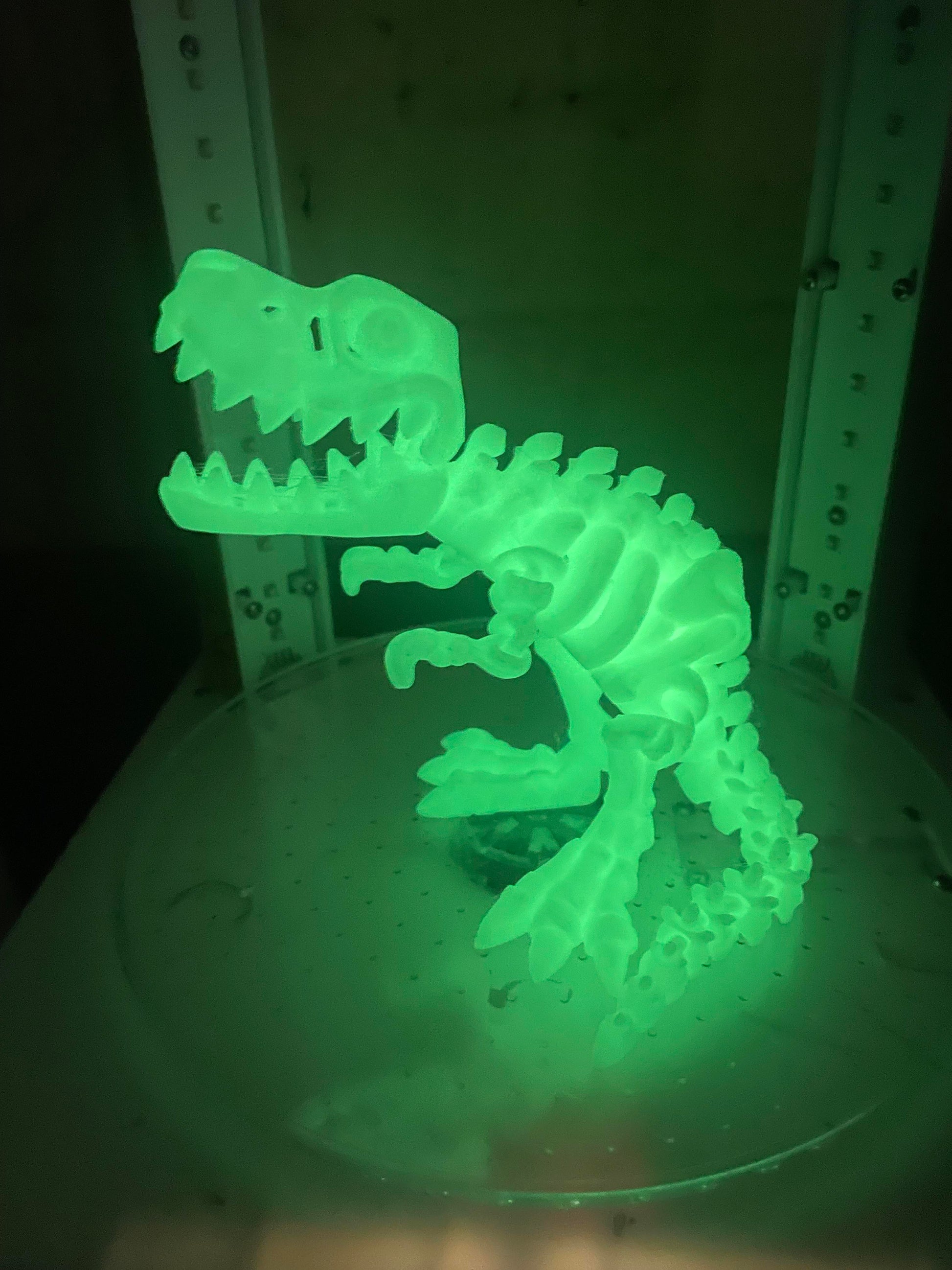 Flexi Skeleton T-Rex / dinosaur / Flexi Factory authorised seller.  As seen on TikTok - MP3D Printing