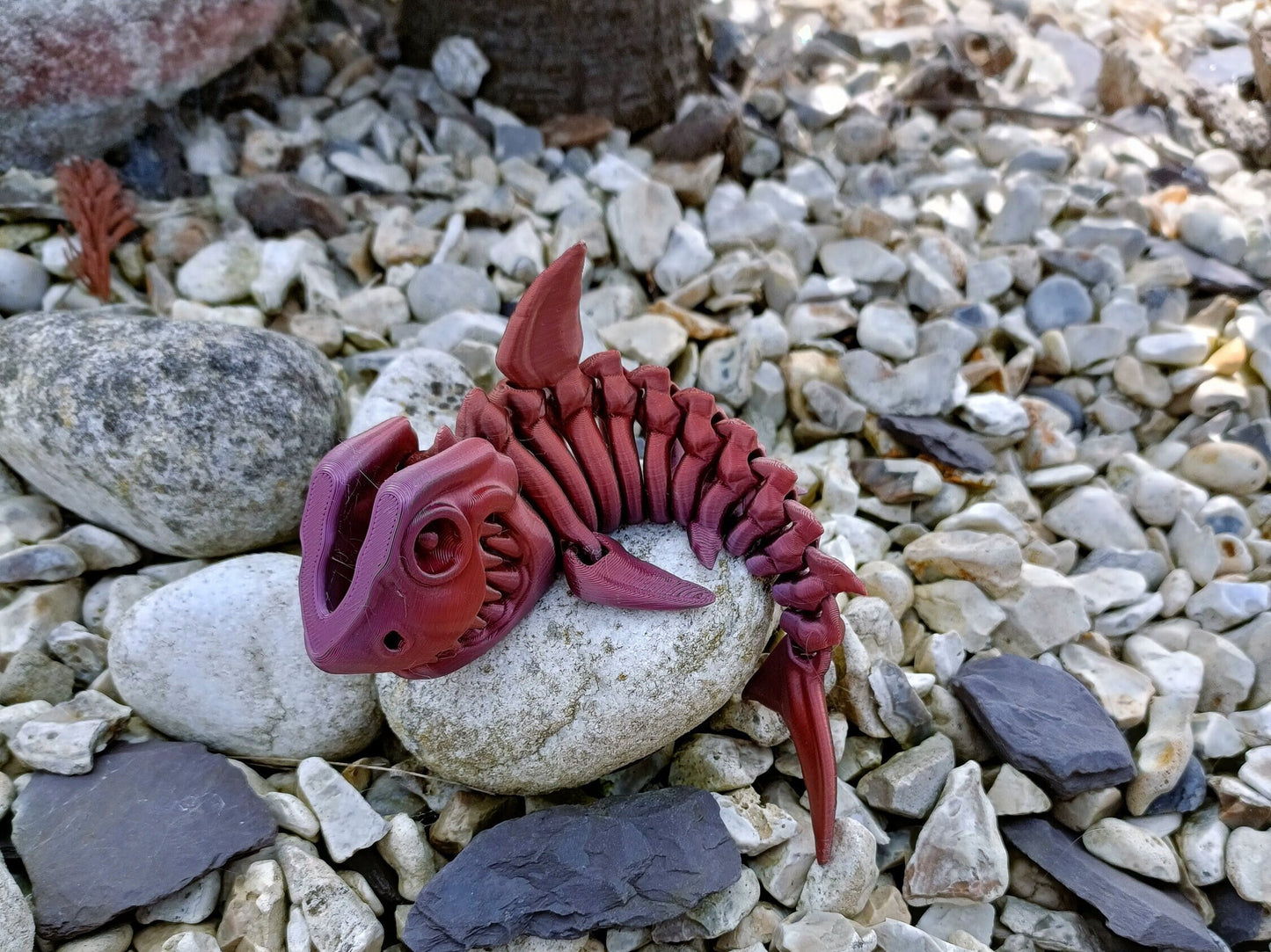 Flexi articulated Skeleton Shark / sensory / fidget