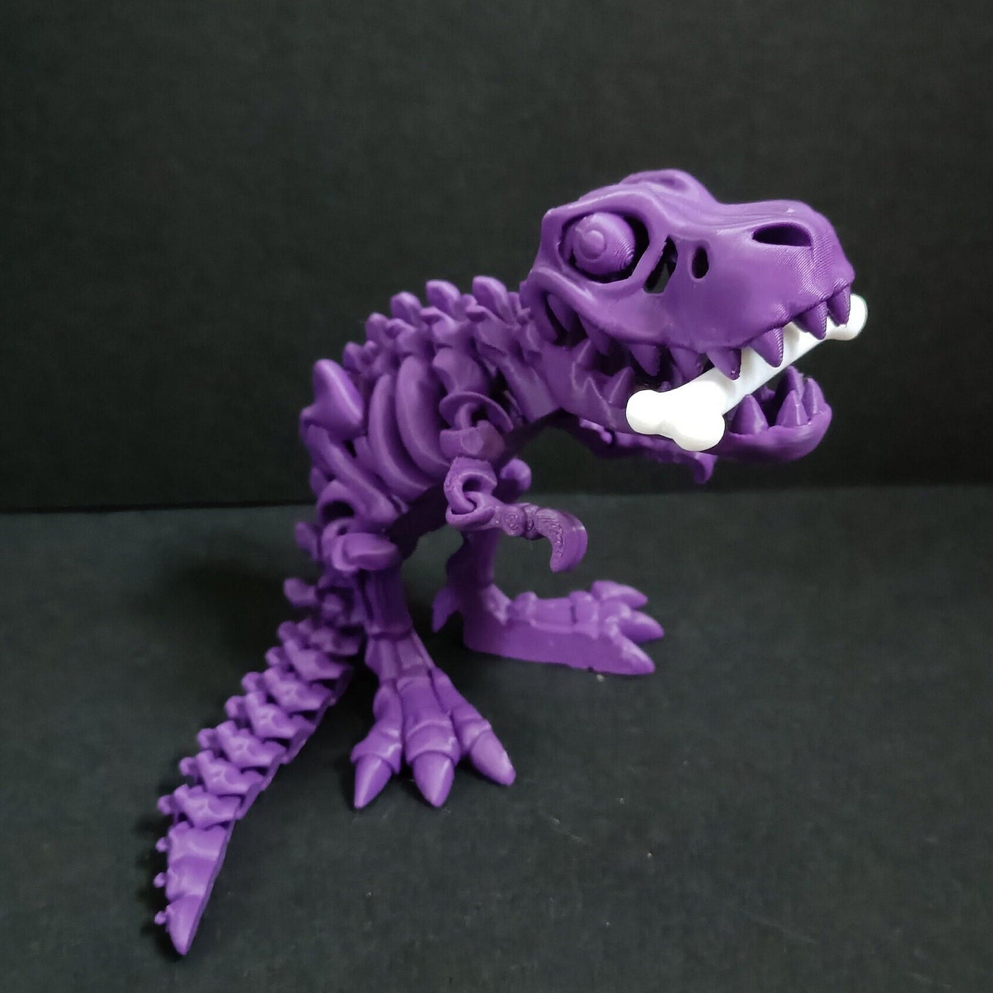 Flexi Skeleton T-Rex / dinosaur / Flexi Factory authorised seller. As seen on TikTok